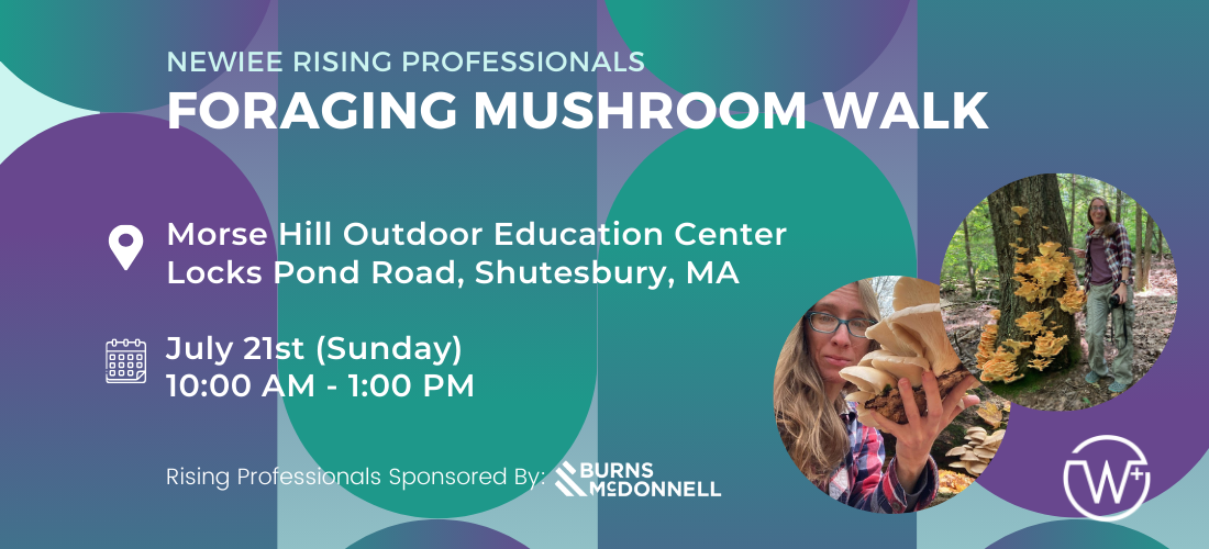 Join us for an exciting and educational foraging walk with the NEWIEE Rising Professionals on Sunday, July 21st, from 10:00 AM to 1:00 PM at the beautiful Morse Hill Outdoor Education Center in Shutesbury, MA.